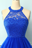 Halter Royal Blue Lace Dress