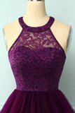 Purple Halter Lace Dress