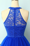 Halter Royal Blue Lace Dress