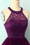 Purple Halter Lace Dress