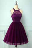 Purple Halter Lace Dress