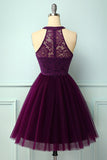 Purple Halter Lace Dress