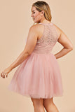 Blush Plus Size Party Dress