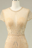 Luxurious Mermaid Jewel Neck Champagne Formal Dress with Beading