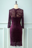 Lace Bodycon formal Dress