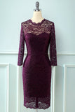 Lace Bodycon formal Dress