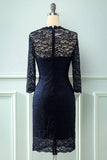 Lace Bodycon formal Dress