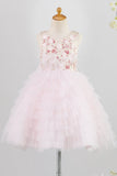 Embroidery Pink Flower Girl Dress with Feather