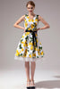 Load image into Gallery viewer, V-neck Lemon Vintage Dress