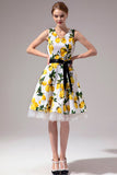 V-neck Lemon Vintage Dress