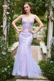 Spaghetti Straps Mermaid Blue Long Formal Dress With Appliques