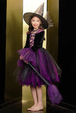 Sparkly Black and Purple Tulle Halloween Girl Dress