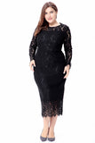 Plus Size Long Sleeves Wedding Guest Dress