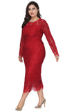 Plus Size Long Sleeves Wedding Guest Dress