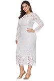 Plus Size Long Sleeves Wedding Guest Dress