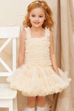 Apricot Girl Party Tutu Dress