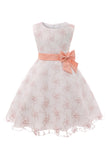 Blue Embroidery Lace Girls' Dress with Bowknot