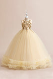 Champagne Tulle A Line Girl Dress with Embroidery