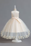 Champagne Beading High Low Butterfly Girls Dresses