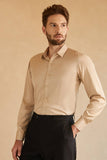 Long Sleeves Camel Solid Suit Shirt