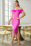 Off The Shoulder Fuchsia Corset Party Dress with Feathers