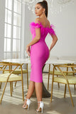 Off The Shoulder Fuchsia Corset Party Dress with Feathers