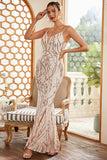 Sequins Sheath Blush Sparkly Formal Dress