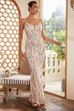 Sequins Sheath Blush Sparkly Formal Dress