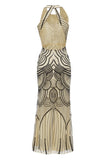 Jewel Black Blush 1920s Party Dress with Backless