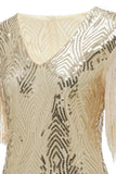 1920S Vintage Sequined Fringe Dress