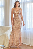 Rose Pink Mermaid Sequins Formal Dress