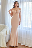 Blush Mermaid Long Formal Dress with Appliques