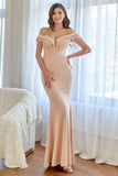 Blush Mermaid Long Formal Dress with Appliques