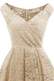 Blush Vintage Lace Party Dress