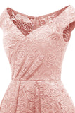 Blush Vintage Lace Party Dress