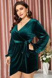 Plus Size Dark Green Velvet Dress