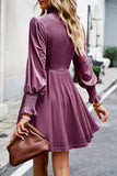 Burgundy Long Sleeves A Line Velvet Holiday Party Dress