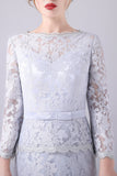 Silver Lace Sheath Long Sleeves Floor Length Mother of the Bride Dress