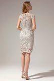 Grey Lace Mother Of the Bride Dress