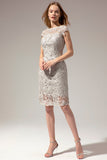 Grey Lace Mother Of the Bride Dress