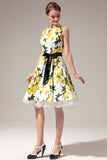 Lemon 1950s Swing Dress