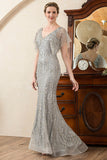 Beading Mermaid Mother of the Bride Dress