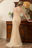 Beading V-Neck Glitter Mermaid Mother of Bride Dress