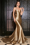 Mermaid Lace-Up Back Golden Long Formal Dress