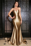 Mermaid Lace-Up Back Golden Long Formal Dress