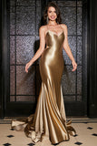 Mermaid Lace-Up Back Golden Long Formal Dress