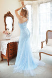 Mermaid One Shoulder Sky Blue Plus Size Formal Dress with Appliques
