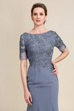 Grey Chiffon Appliques Mother of Bride Dress