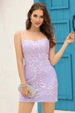 Lilac Lace Tight Short Formal Dress