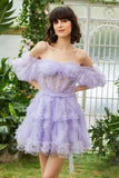 Stylish A Line Off the Shoulder Fuchsia Tulle Corset Short Formal Dress